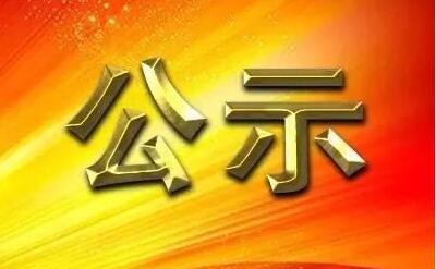 关于2023年度市属企业认真人履职待遇、 营业支出预算备案表的公示